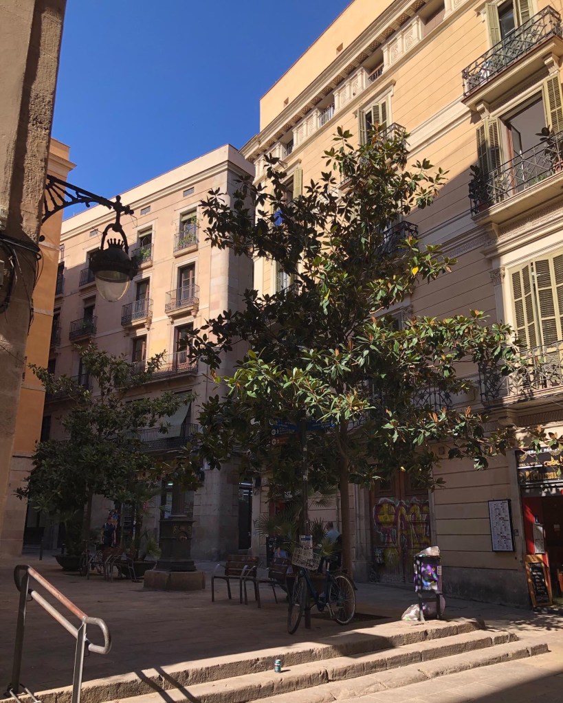 aa245f81-c56f-4045-b9ab-4d10374b74c9-1